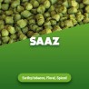 Houblons en pellets Saaz 100 g
