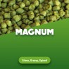 Magnum pellets 100 gr