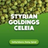 Styrian Goldings Celeia pellets 100 gr