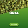 Opal pellets 100 gr 2017
