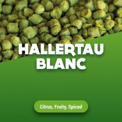 Hallerteu Blanc pellets 100 gr 2017