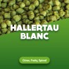 Hallerteu Blanc pellets 100 gr 2017